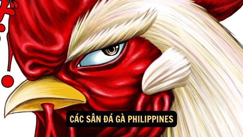 Các sân đá gà philippines