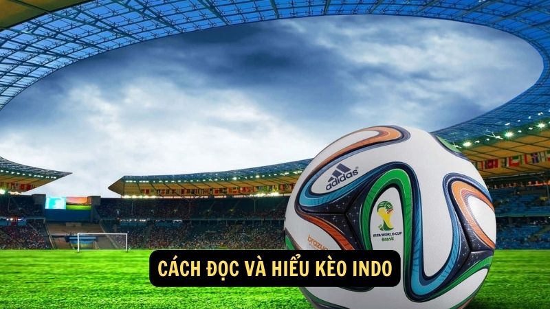 Cách đọc và hiểu kèo indo