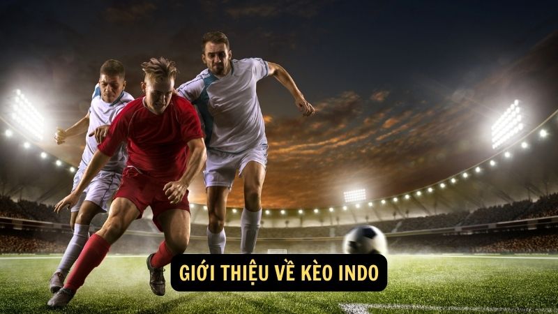 Giới thiệu về kèo indo