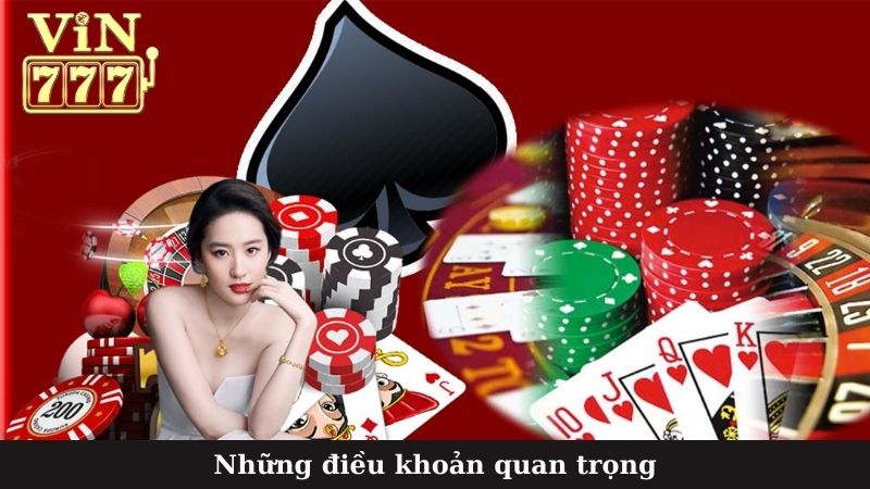 Những điều khoản quan trọng