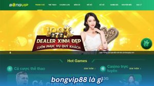 bongvip88 la gi