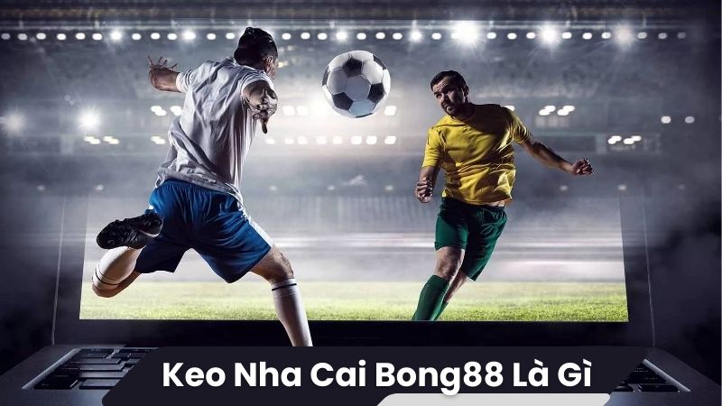 keo nha cai bong88 la gi